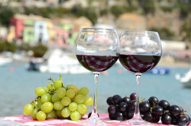 Çift kadehlerin ve üzüm portvenere harbour karşı
