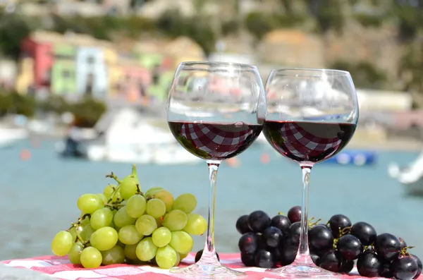 Çift kadehlerin ve üzüm portvenere harbour karşı — Stok fotoğraf