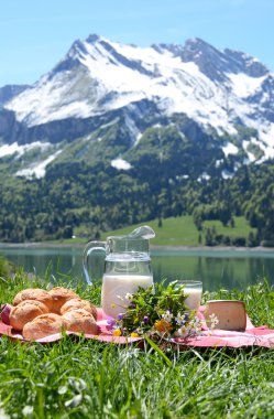 süt, peynir ve ekmek Alpin çayır, swit pikniğe servis