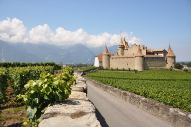 Chateau d'aigle, İsviçre地中海サラダ、大きな黒オリーブ、羊のチーズ