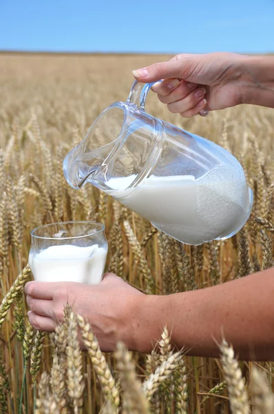 Kruka mjölk mot vete fält — Stockfoto