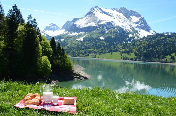 Milk, cheese and bread served at a picnic on Alpine meadow, Swit — Stock Photo, Image