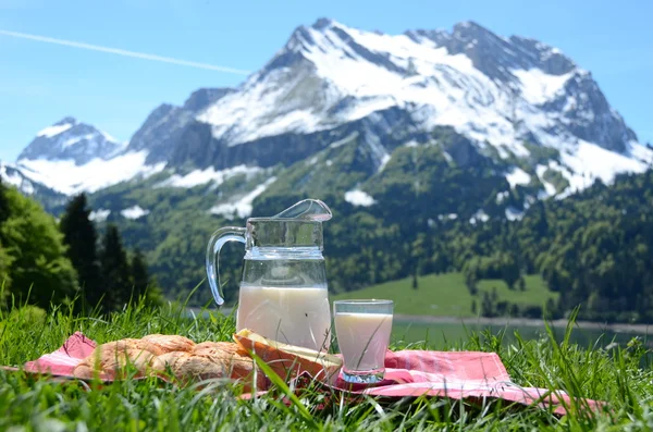 Latte, formaggio e pane serviti a un picnic sul prato alpino, Swit — Foto Stock