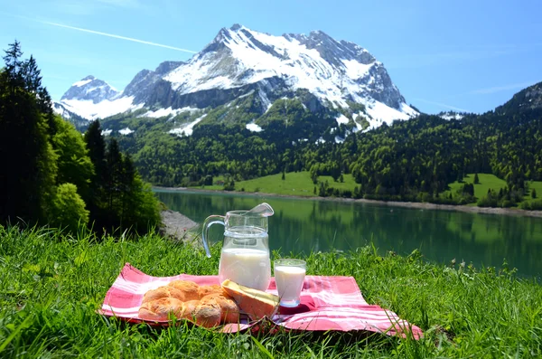 Mléko, sýr a chleba, podávaný na pikniku v alpské louky, s — Stock fotografie