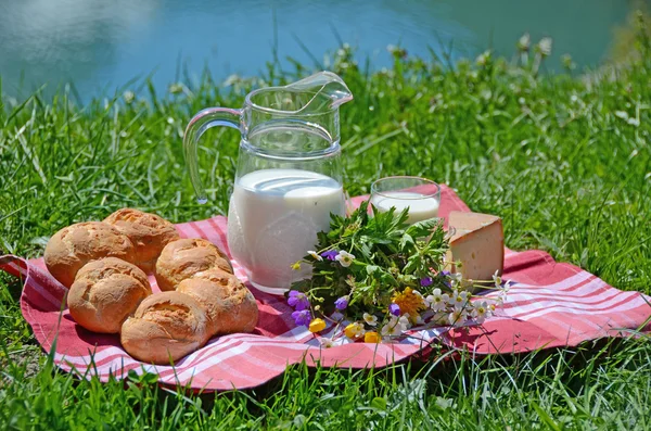 Melk, kaas en brood geserveerd op een picknick — Stockfoto