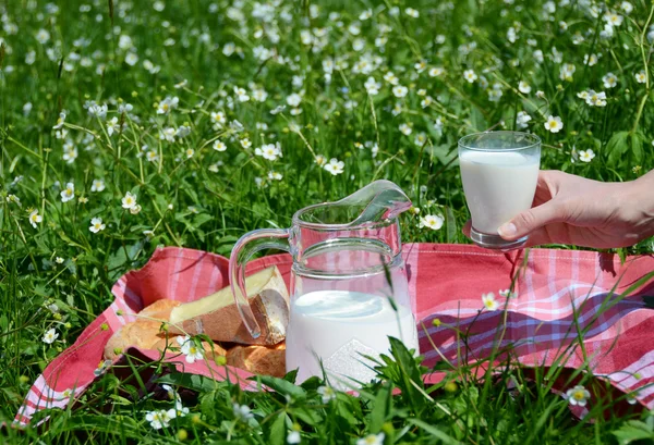 牛奶、 奶酪和面包送达的野餐高寒草甸、 真空断路器 — 图库照片