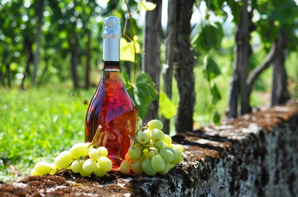 Бутылка шампанского и виноград против виноградников — стоковое фото