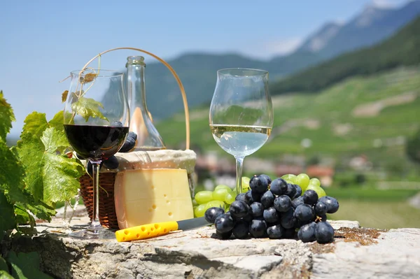 Wijn en druiven. Chateau de aigle, switzerkand — Stockfoto