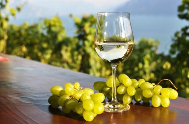 bardağı ve üzüm salkımı. Lavaux bölge, İsviçre