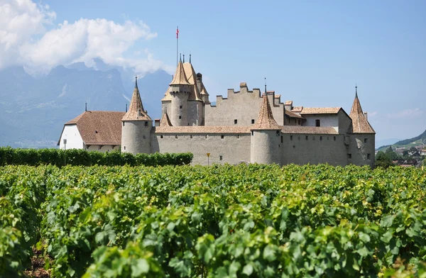 Chateau d'Aigle, Svizzera — Foto Stock