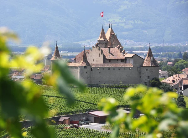 瑞士城堡 d'aigle — 图库照片