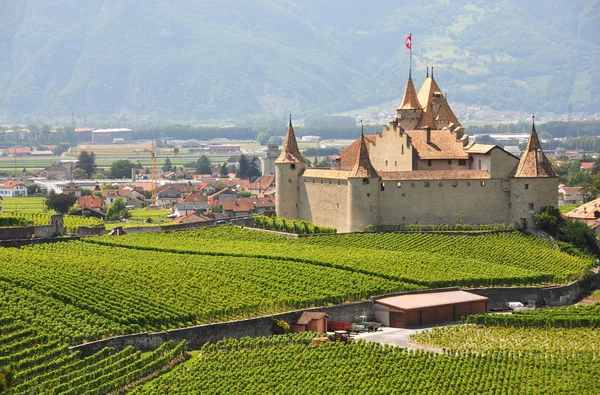 Chateau d'aigle, Suiza — Stock fotografie