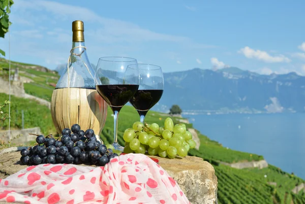 Rotwein und Trauben. lavaux region, Schweiz — Stockfoto