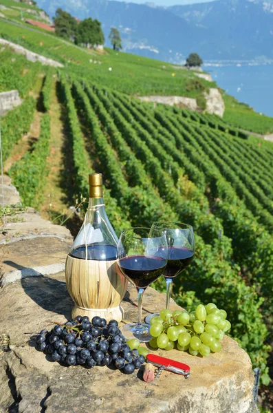 Rode wijn en druiven. Lavaux-gebied, Zwitserland — Stockfoto