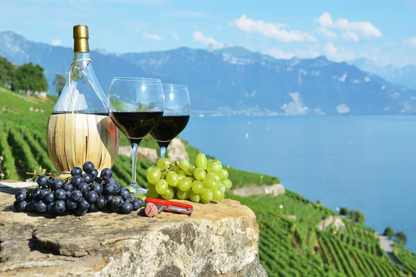Rotwein und Trauben auf der Terrasse des Weinbergs in Lavaux, — Stockfoto