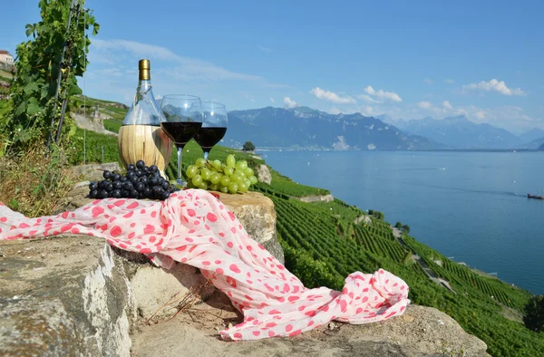 Red wine and grapes. Lavaux region, Switzerland — Stock Photo, Image