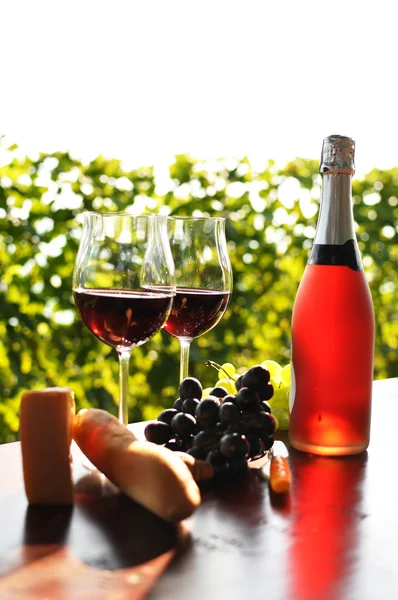 Wine and grapes — Stock Photo, Image