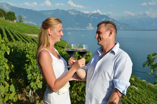 Degustazione di vino tra i vigneti di Lavaux, Svizzera — Foto Stock