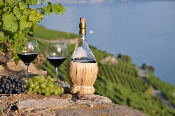 kırmızı şarap ve üzüm. Lavaux bölge, İsviçre