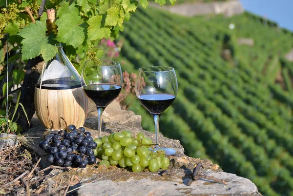 Red wine and grapes on the terrace of vineyard in Lavaux region, — Stock Photo, Image