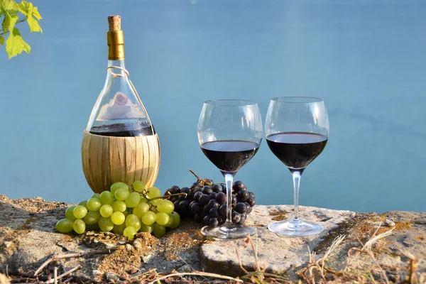 레드 와인 고 포도입니다. Lavaux 지역, 스위스 — 스톡 사진