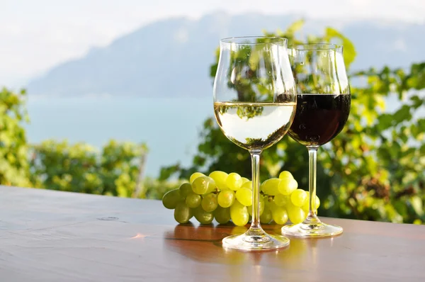 iki kadehlerin ve üzüm karşı Cenevre Gölü. Lavaux bölge, s
