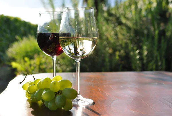 Paire de verres à vin et bouquet de raisins. Région de Lavaux, Suisse — Photo