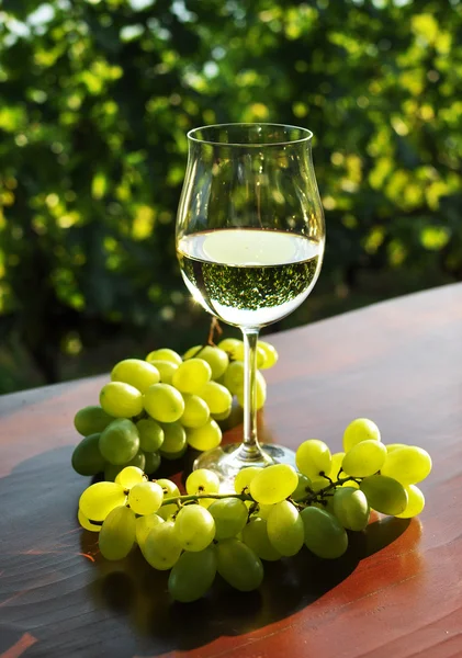 Des verres à vin et des grappes de raisins. Région de Lavaux, Suisse — Photo