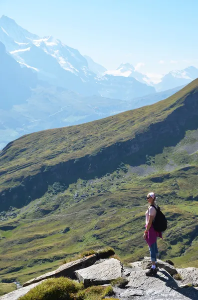Gezgin bir kayanın tepesinde. İsviçre — Stok fotoğraf
