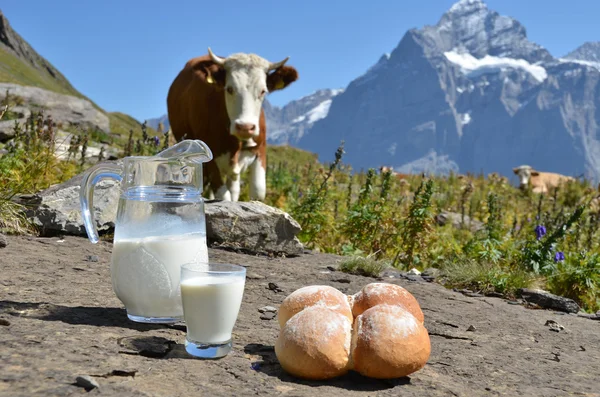 Džbán mléka a chleba proti stádo krav. Jungfrau region, swi — Stock fotografie