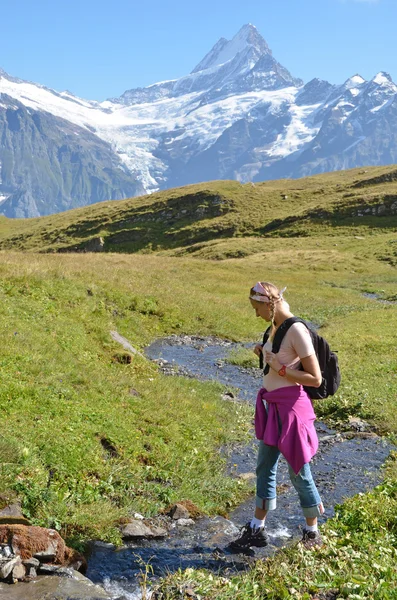 ユングフラウ地域、スイス連邦共和国でのトレッキング — ストック写真