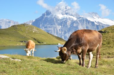 Kilise için ağ geçidi