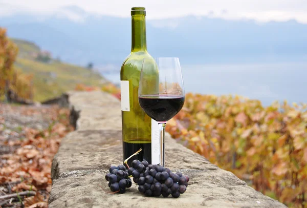 Copo de vinho tinto e uma garrafa na vinha do terraço em Lavaux — Fotografia de Stock