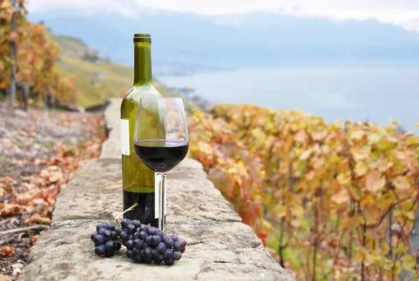 Verre de vin rouge et une bouteille sur la terrasse du vignoble à Lav — Photo