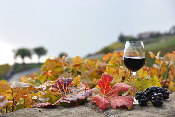 Bicchiere di vino rosso sul vigneto terrazza nella regione Lavaux, Swit — Foto Stock
