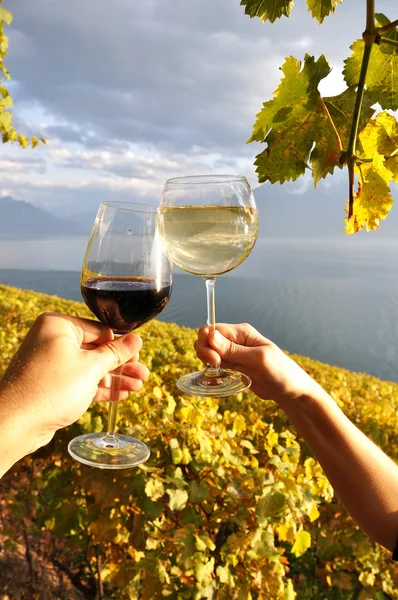Two hands holding wineglases against vineyards in Lavaux region, — Stock Photo, Image