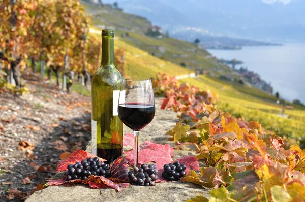 Copo de vinho tinto na vinha terraço na região de Lavaux, Swit — Fotografia de Stock