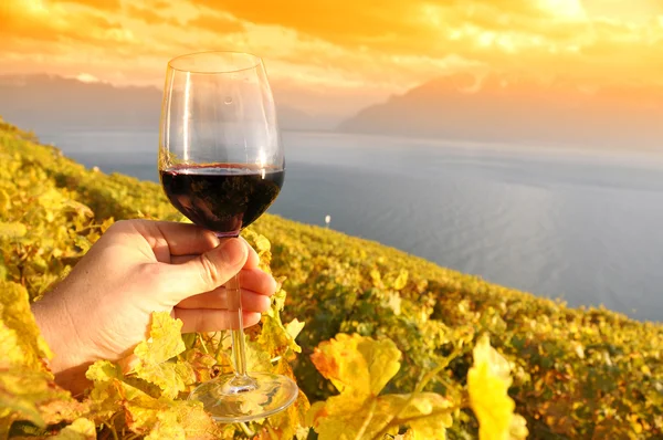 Винное стекло в руке против виноградников в регионе Лаво, Switze — стоковое фото