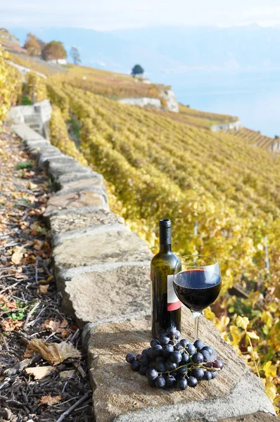 Red wine and grapes on the terrace of vineyard in Lavaux region, — Stock Photo, Image