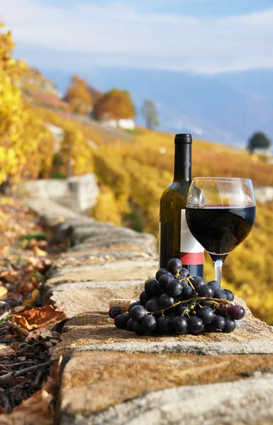 Vino tinto y uvas en la terraza del viñedo en la región de Lavaux , — Foto de Stock