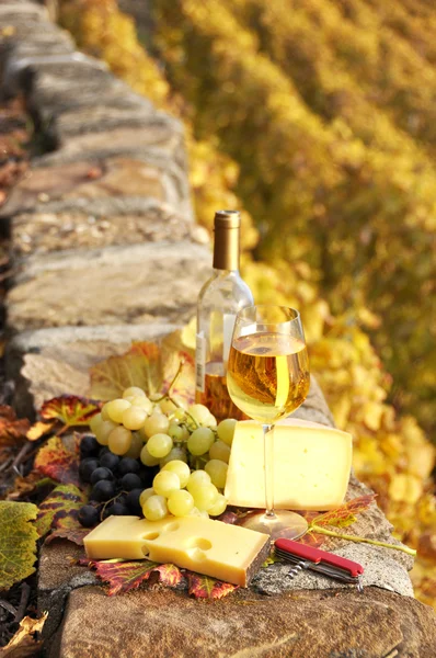 Wineglass and a bottle on the terrace vineyard in Lavaux region, — Stock Photo, Image