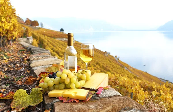 Rotwein und Trauben auf der Terrasse des Weinbergs in Lavaux, — Stockfoto