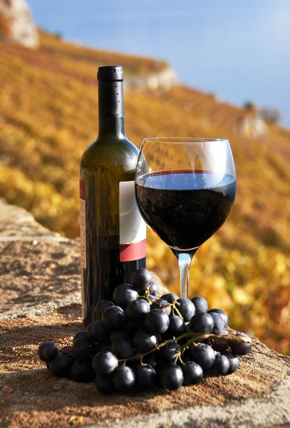 Glass of red wine on the terrace vineyard in Lavaux region, Swit — Stock Photo, Image