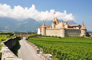 Chateau d'aigle, İsviçre地中海サラダ、大きな黒オリーブ、羊のチーズ