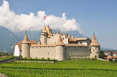 Chateau d'aigle, İsviçre地中海サラダ、大きな黒オリーブ、羊のチーズ