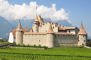 Chateau d'aigle, İsviçre地中海サラダ、大きな黒オリーブ、羊のチーズ