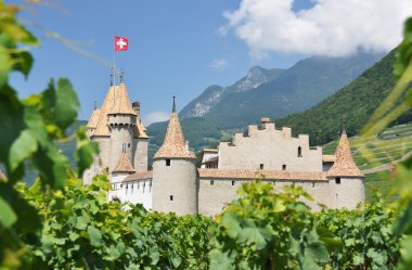 Chateau d'aigle üzüm bağları arasında. İsviçre