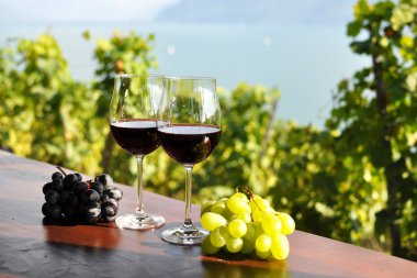 kırmızı şarap ve üzüm bağları lavaux bölgesinde, Olimpiyat karşı