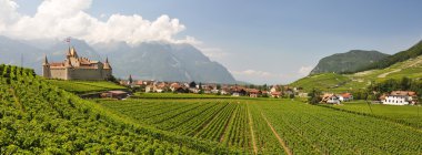 Chateau d'aigle, İsviçre地中海サラダ、大きな黒オリーブ、羊のチーズ