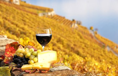 kırmızı şarap, üzüm ve chesse lavaux Teras bağ üzerinde
